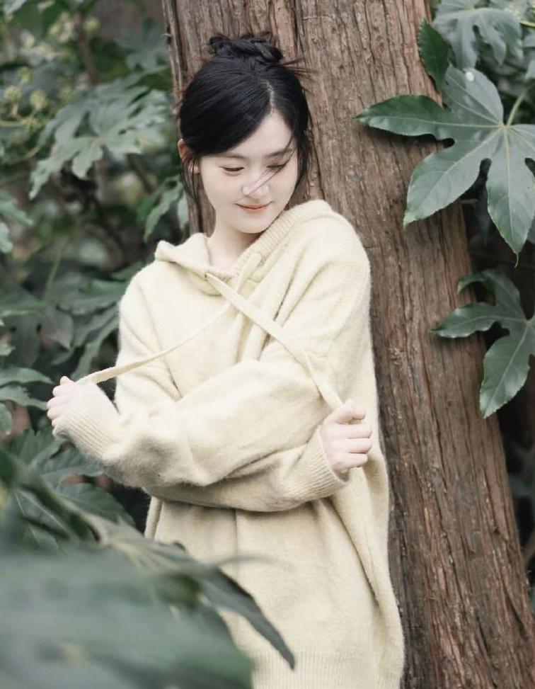 海外如何看春晚教程